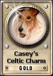 Caseys Celtic Charm Award