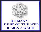 Iceman's Award