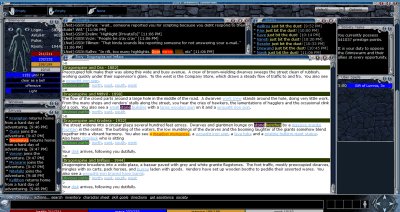 Picture of stormfront interface used to access the game