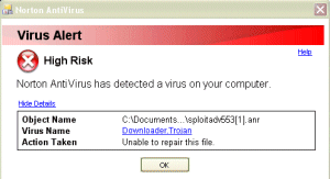 Picture of virus error message